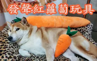 寵物發聲玩具紅蘿蔔 可當狗狗抱枕