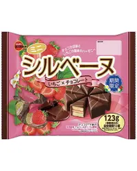 在飛比找樂天市場購物網優惠-【BOBE便利士】日本 北日本 Bourbon 三角蛋糕家庭