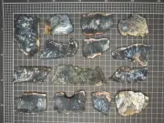 Dendritic Opalite / Chalcedony ( Merlinite ) - 14 Slices - 296gm - Goldfields