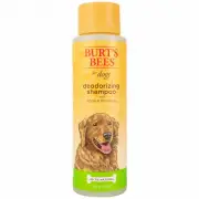 Burts 16OZ Deod Shampoo FFP7260