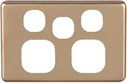 4C | Classic Double Power Point with Extra Switch Polycarbonate Cover Plate - Gold Colour