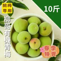 在飛比找台灣好農優惠-【春季特賣】信義鄉柳哥有機青梅(10台斤)(脆梅專用)