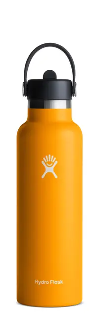 在飛比找誠品線上優惠-Hydro Flask 21oz標準口吸管真空保溫鋼瓶/ 海