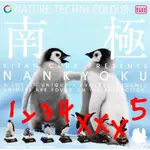 NATURE TECHNI COLOUR COLOR南極 企鵝 扭蛋 NTC 隱藏版