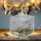 Jumping Spider Mantis Insect Tarantula Terrarium Mini Reptile Breeding Box Tool