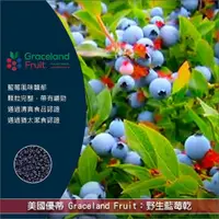 在飛比找完美烘焙材料坊優惠-《分裝》美國優蒂 GracelandFruit：野生藍莓乾