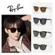 【RayBan 雷朋】熱銷新品膠框墨鏡組合(RB4379D、RB4374F、RB4333D、RB4260D、RB4391D、RB4392D)