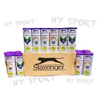 在飛比找PChome商店街優惠-【H.Y SPORT】 『10桶入』 SLAZENGER W