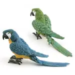 仿真野生動物小鳥模型 兒童認知金剛鸚鵡飛禽鳥類模型裝飾擺件玩具