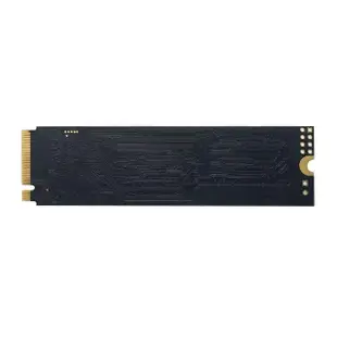 【PATRiOT 博帝】P300 M.2 2280 PCIe Gen3x4 128GB SSD固態硬碟