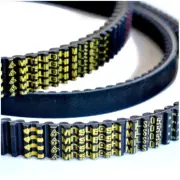 PIAGGIO X9 Amalfi 180 2000-2003 BELT