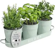 Barnyard Designs Indoor Outdoor Herb Garden Planter Set with Tray, Metal Windowsill Herb Pots, Mint, Set/3