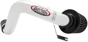 AEM Cold Air Intake (21-8217DP)