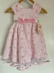 Jona Michelle Girls 4T Spring Dress Flowers Lace Pink White Checkered Seersucker