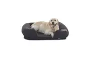 Charlie's Teddy Fleece Memory Foam Sofa Dog Bed with Bolster Charcoal (Small, Medium, Large)