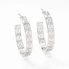 Sparkly Silver Hoop Earrings, Touchstone Crystal by Swarovski Diamondback BNIB