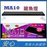 [安心水族]免運 MR.AQUA 水族先生 MA10 龍魚增豔激色燈 LED 龍魚燈 紅龍燈 增豔燈 全紅燈