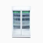 Bromic GM0900LWECO 2 Door 885L Flat Glass Upright Display Fridge - White