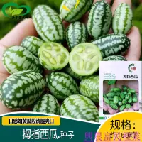 在飛比找蝦皮購物優惠-🌱🥬利宏拇指西瓜種子 農田菜園盆栽種植小西瓜口感清脆爽口西瓜