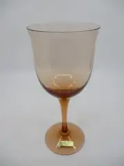 NORITAKE REMEMBRANCE SIENNA WATER GOBLET - 7 1/2" 0205C