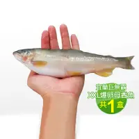 在飛比找momo購物網優惠-【優鮮配】宜蘭特選巨無霸XXL爆卵母香魚1盒(5尾/920g