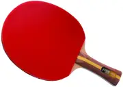 DHS Racket 2002 FL Handle Type Table Tennis and Ping Pong Racket, Cover Included