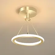 ZLGUBAY Small Modern Led Ceiling Lights, 19W Creative Metal Round Near Ceiling, Hanging Light Fixture For Kitchen, Island, Dining Room, Living Room, Entrance Hall