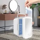 4L Makeup Storage Mini Refrigerator 12V LED HD Cooler And Warmer Sealed Bea IP