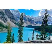 Save 45.00%! Shuttle Bus 2way BANFF to Lake louise & Moraine lake(1 hour each)