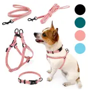 PIPCO PETS - SuperLite Walkies Bundle - Puppy Harness Set - Lightweight Harness, Collar, and Leads for Small Sensitive Dogs and Cats - Adjustable, Safe, Secure