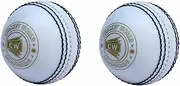 CW Spin Incredible PVC Poly Soft Practice Cricket Ball for All Age Player 2 PCS White