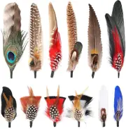 Hat Natural Peacock Feathers - 12PCS Colorful Real Feathers for DIY Fedora, Cowb