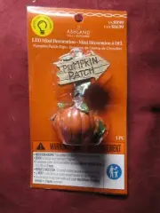 Ashland Fall Tiny Treasures, LED Pumpkin Patch Sign 2024 NEW
