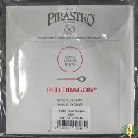 在飛比找蝦皮商城優惠-二胡弦 紅龍 二胡 南胡 套弦 德國製 Pirastro E