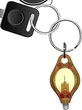 Keychain | UV Light Keychain - Portable Detector Mini Popular Lighting Lamp for Child Schoolbag Backpack Home Detections