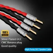Pair Silver Plated Speaker Cable OCC Copper Line with Gold Plated Banana Plugs