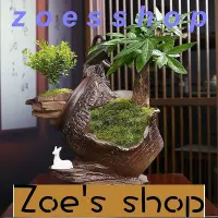 在飛比找Yahoo!奇摩拍賣優惠-zoe-花器 種植盆 大口徑陶瓷花盆粗陶透氣古典盆栽君子蘭蝴