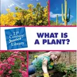 WHAT IS A PLANT?