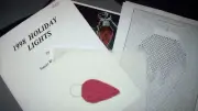1998 HOLIDAY LIGHT BLUB Hand Painted Needlepoint Canvas w/ Instructions ~ RED
