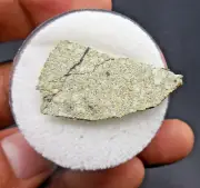 4.80 gram - Northwest Africa 12241 - Martian Shergottite Meteorite slice!