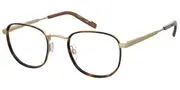 Pierre Cardin P.C. 6899 8SO Men's Glasses Gold Size 50 - Private Health Rebate - Blue Light Block Available