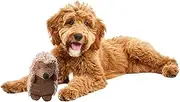 SPOT Corduroy Hedgehog Dog Toy with Squeaker, Textured Plush Toy for Small and Medium Dog Breeds, Light to Moderate Chewers, 8 Inch, Assorted Colors