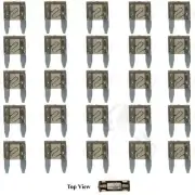 2A Amp 25x Mini Blade Fuse APM ATM Motorcycle Automotive Trip Spade Set Kit