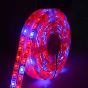 5m 300 LEDs SMD 5050 Full Spectrum LED Strip Light Fitolampy Grow Lights for Greenhouse Hydroponic Plant Waterproof