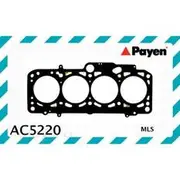 Payen Head Gasket - AC5220