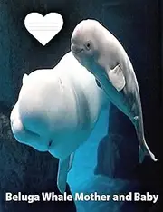 Beluga Whale Mother and Baby College Ruled Line Paper Composition Book: Whale fans, College notebook, Middle School Journal, Adult journals, Composition notebook