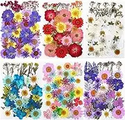 40 Pcs Dried Pressed Flowers for Resin Molds Real Pressed Flowers Dry Leaves Bulk Natural Herbs Kit for Scrapbooking DIY Art Crafts, Epoxy Resin Jewelry Molds, Candle, Soap Making, Nails Décor (A)