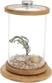 WEKAMOS 1 Set Transparent Desktop Fish Bowl with LED Light Creative Eco Micro Landscape Aquarium for Home and Office Non Slip Base Present for Fish Lovers