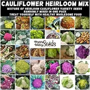Cauliflower Mix 70+ Seeds Vegetable Garden All Types Mixed Winter Hardy