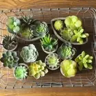 Quality Lotus Bonsai Fake Flowers Artificial Plants Succulents Floral Craft